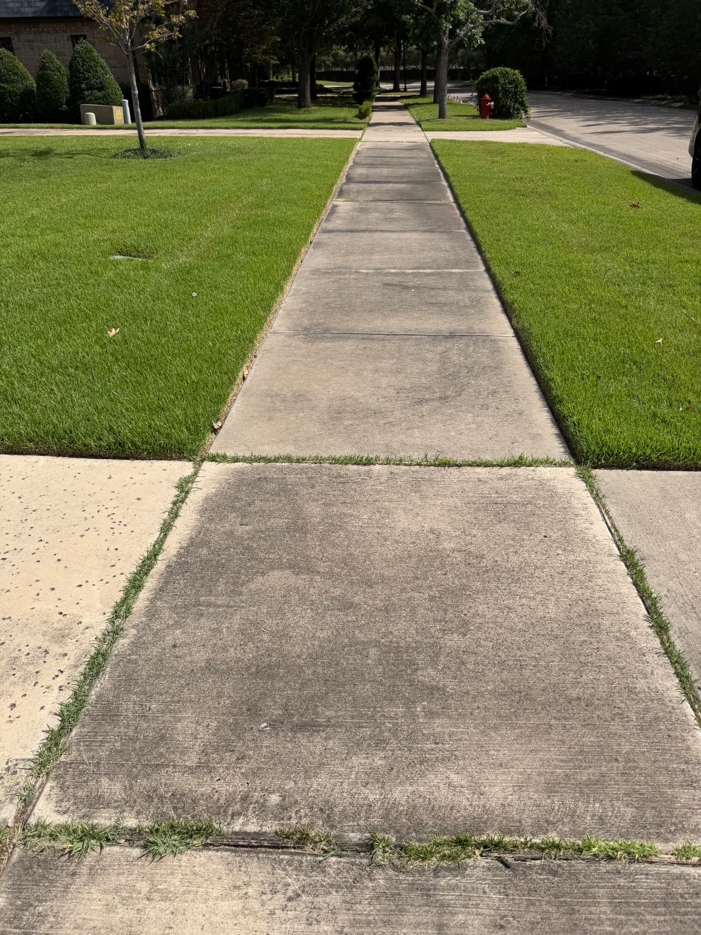 Before — Residential concrete sidewalk before and after pressure washing